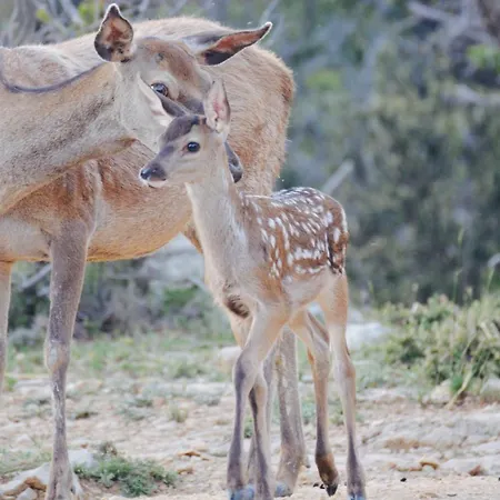 Villa Molino Sauco - Hammam